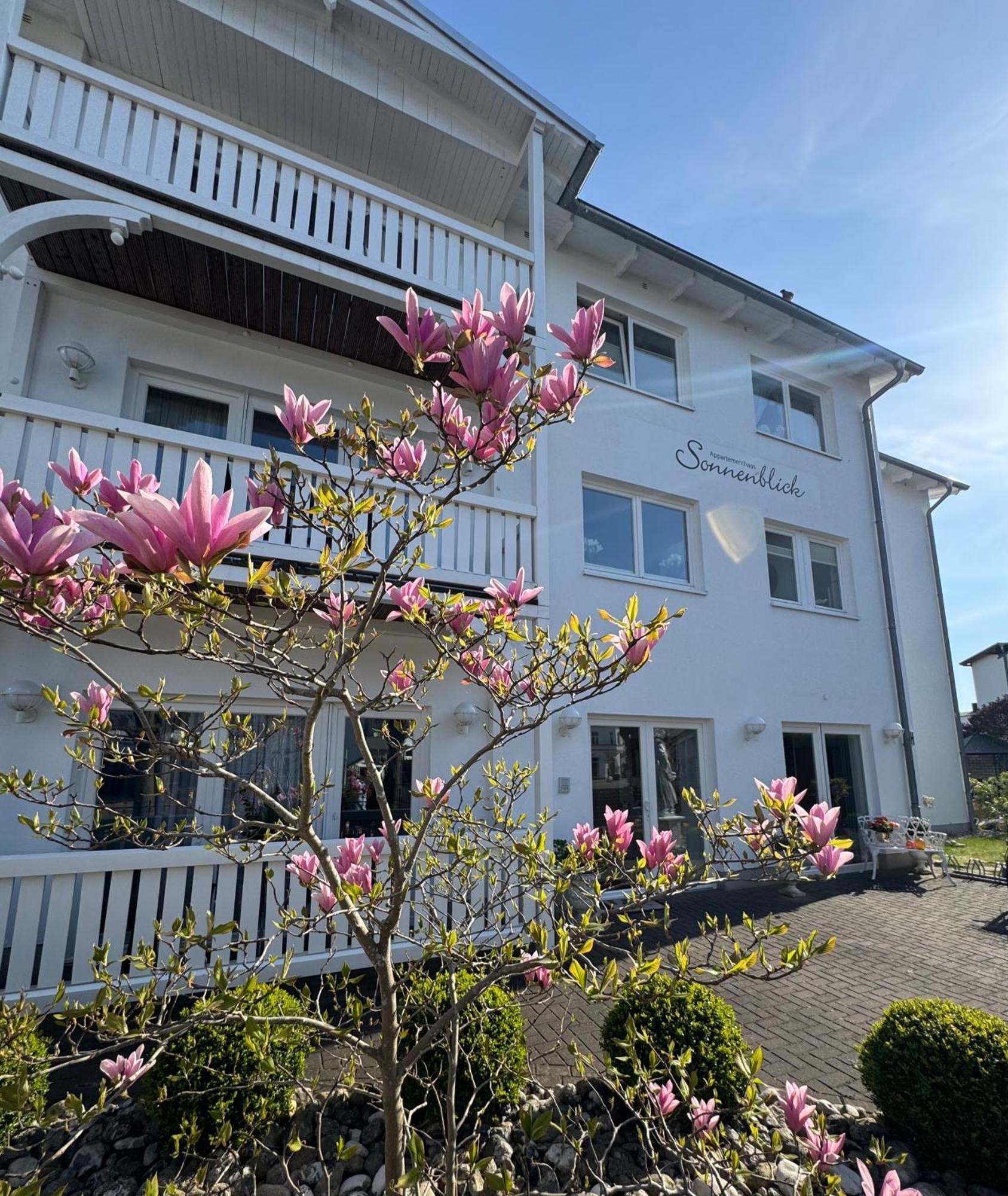 Apartmenthaus Sonnenblick ビンツ エクステリア 写真